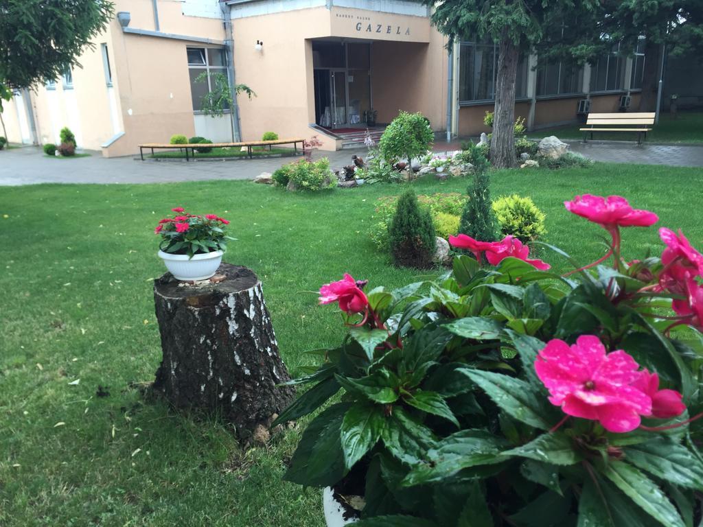 Prenociste Gazela Bed & Breakfast Pirot Exterior photo