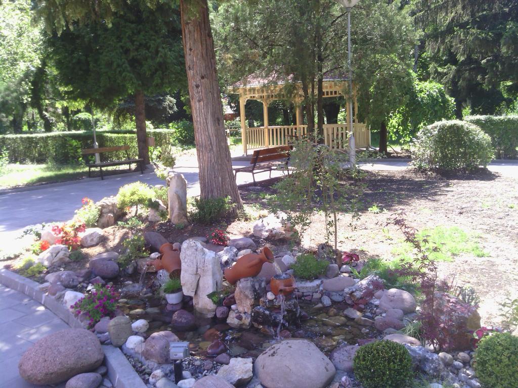 Prenociste Gazela Bed & Breakfast Pirot Exterior photo